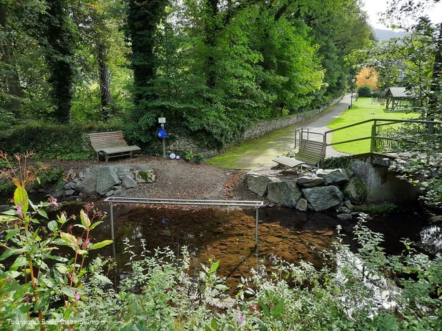 Natürliche Tretstelle Brunskappel