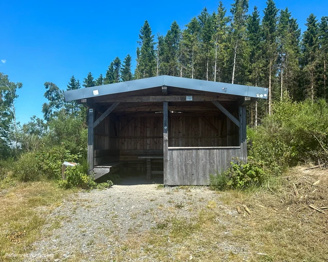 Eine Schutzhütte umgeben von Wald.