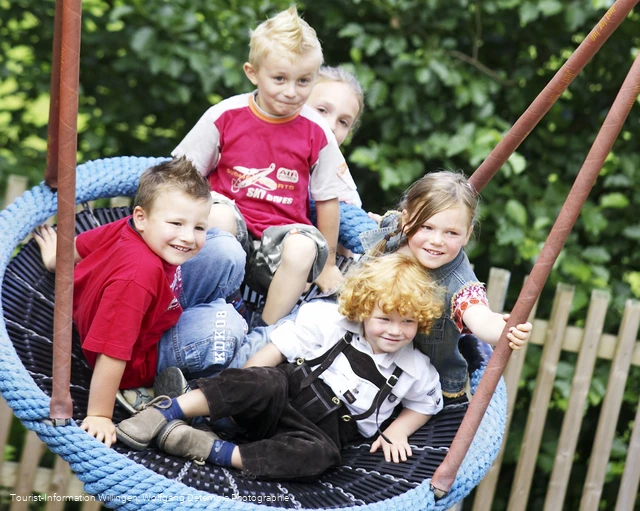 kinder-nestschaukel c) tourist-information-willingen.jpg