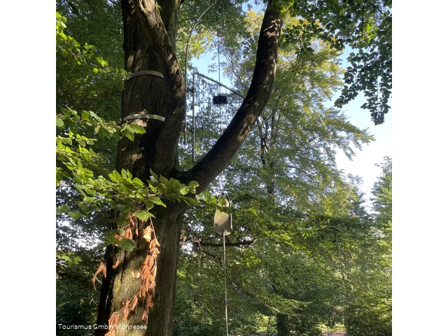 Baumharfe Klangwald Möhnesee