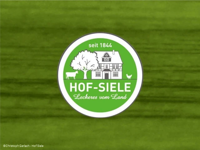 Logo Hof Siele.jpg