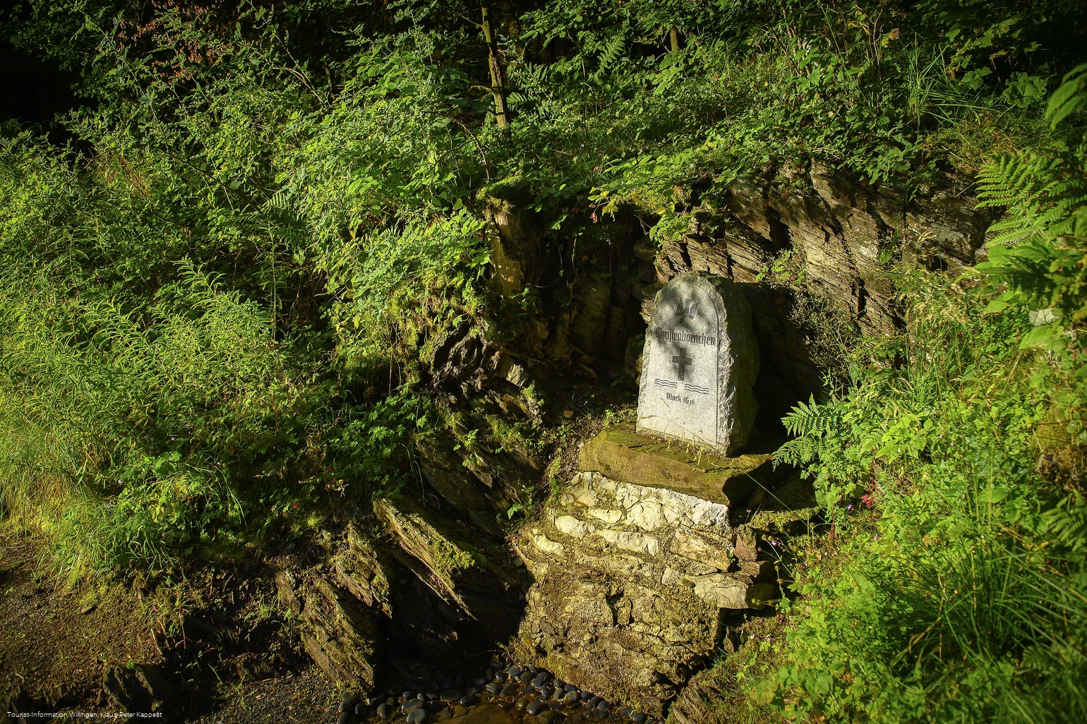 Christenbörnchen bei Willingen-Usseln