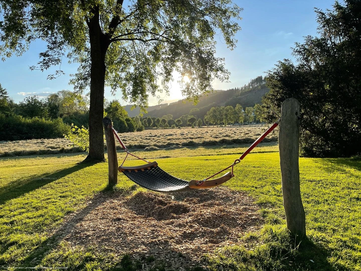 Hängematte TalVITAL