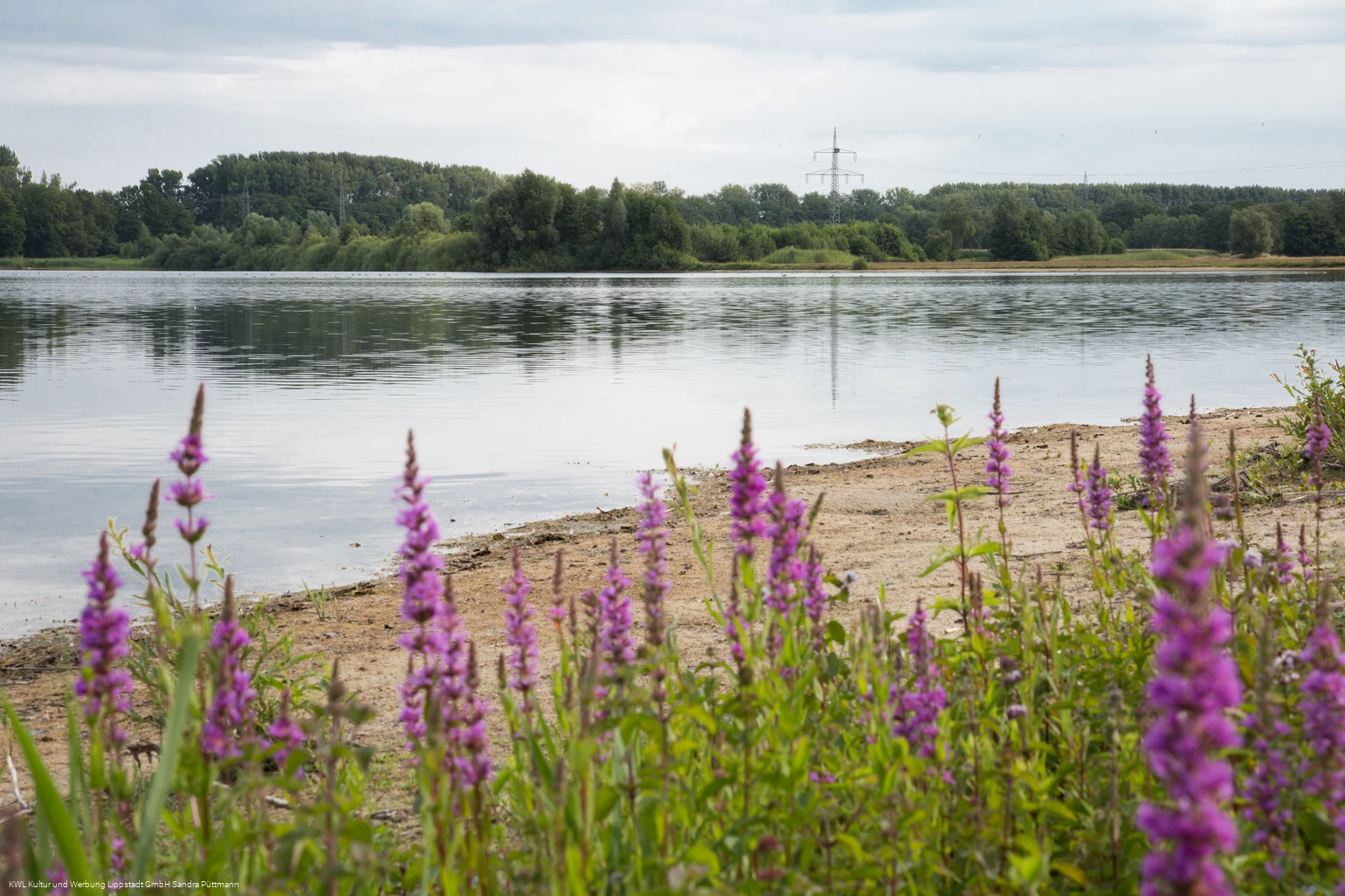 Zachariassee Zachariassee