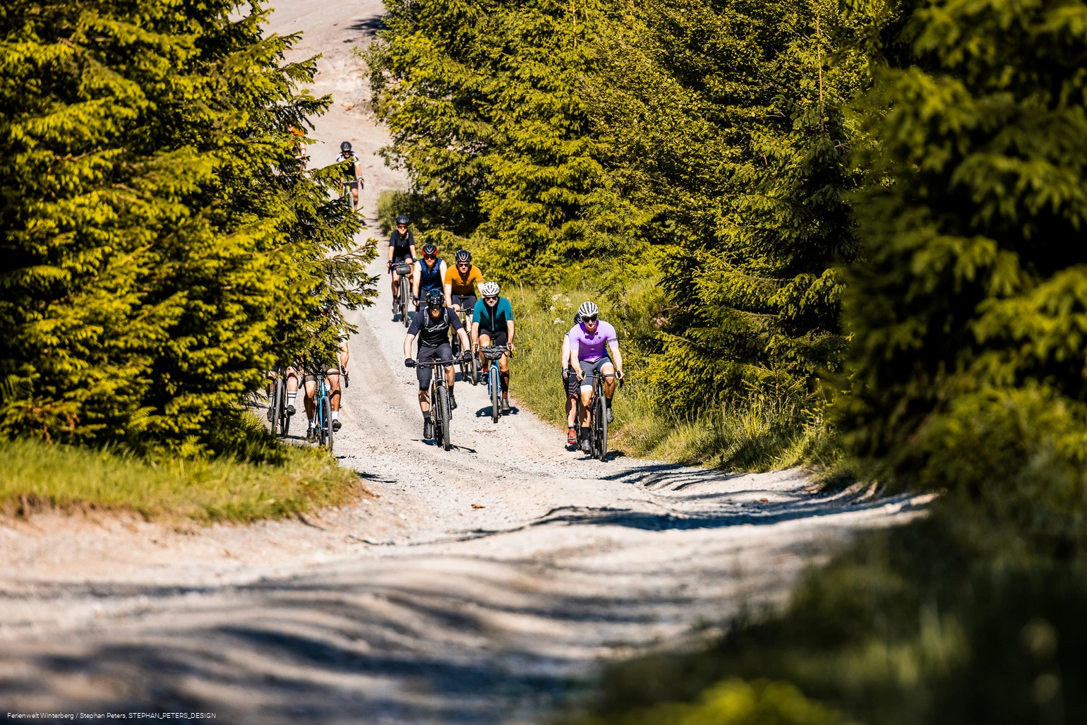 Eine Gruppe Radfahrer auf einem Waldweg, umgeben von Wald.