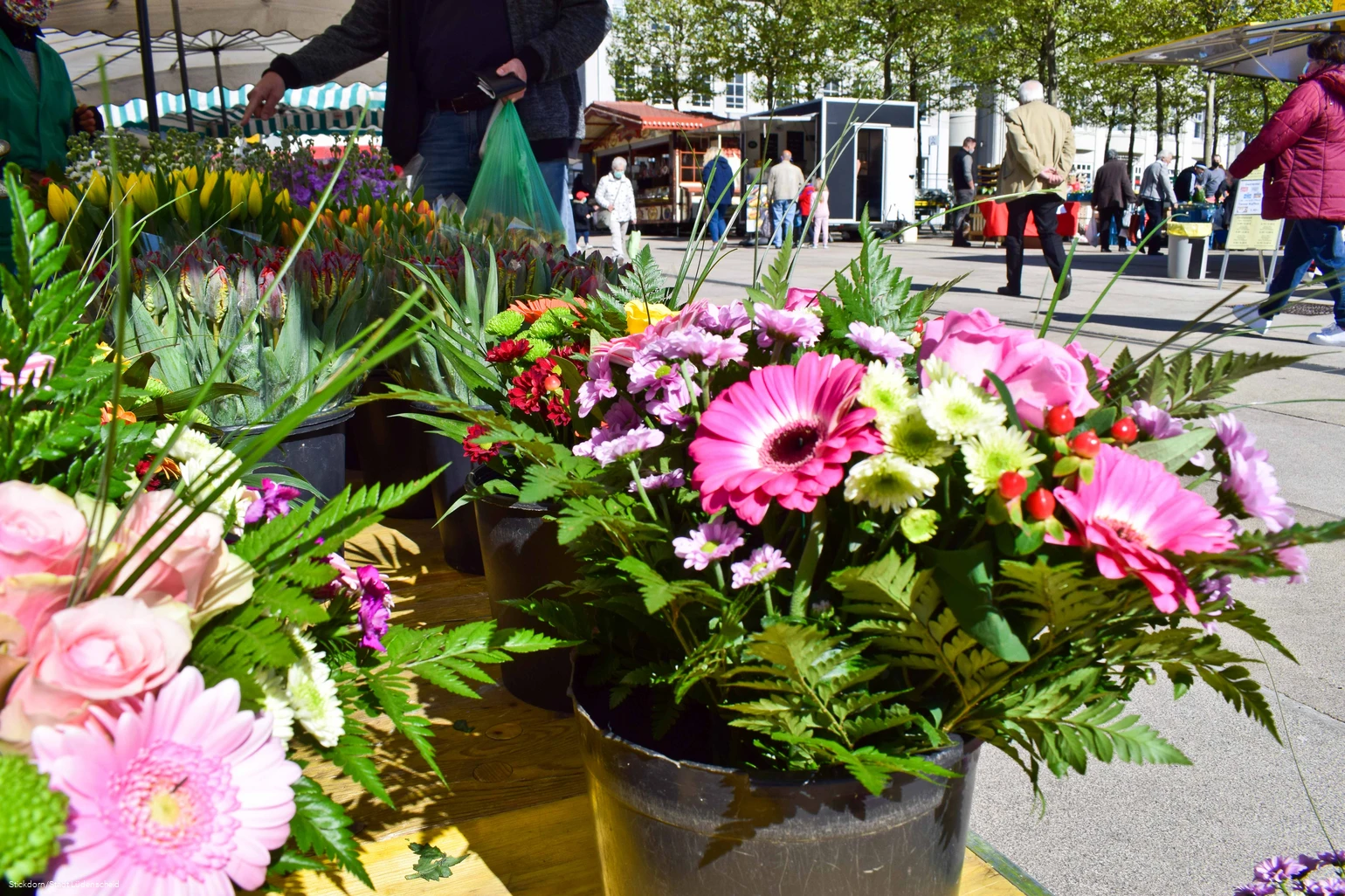 Lüdenscheider Wochenmarkt Blumenstand