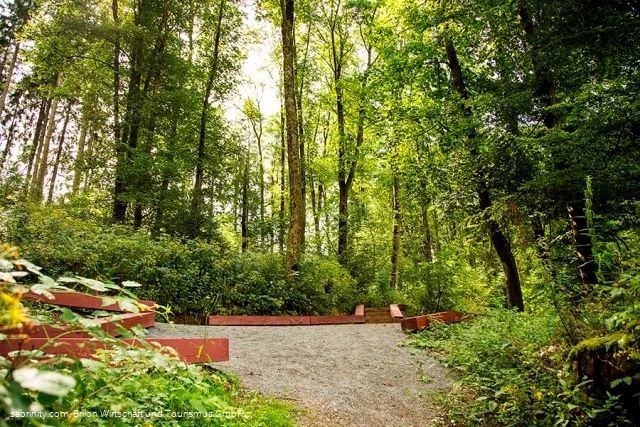 Wegespinne Wegespinne