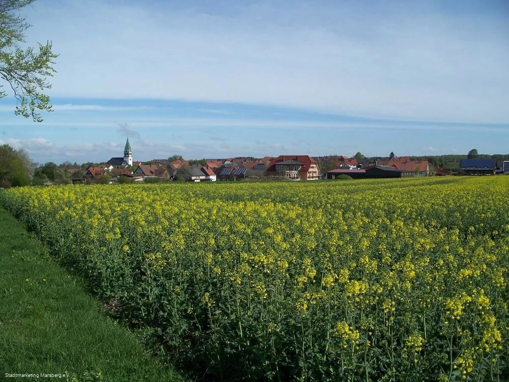 Ortsansicht Meerhof