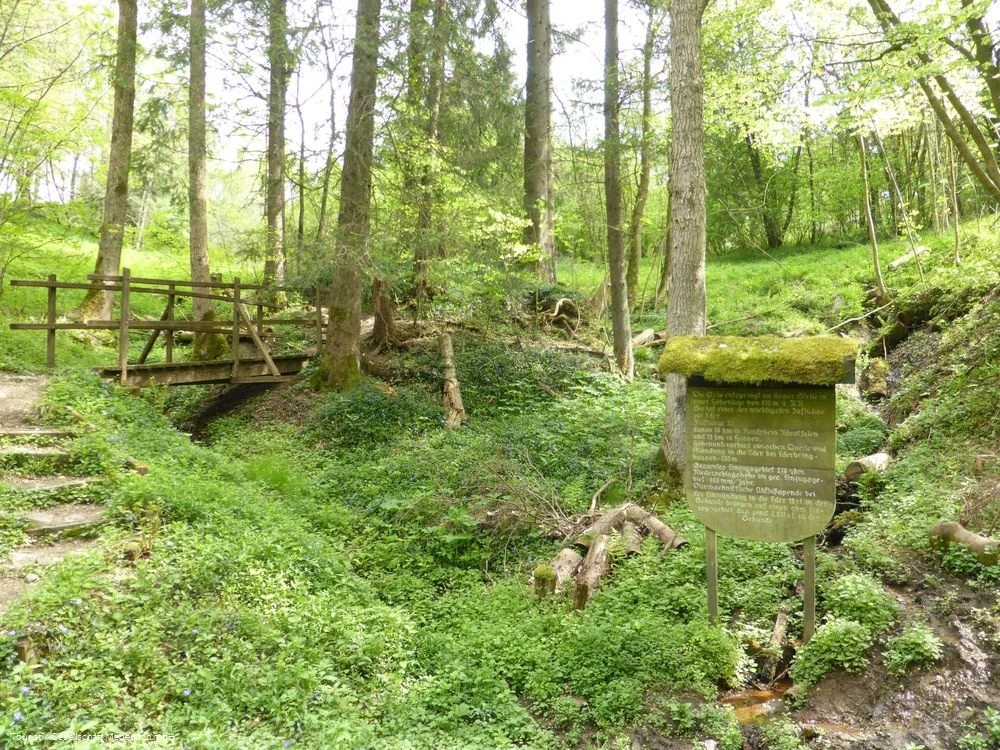 Die Orkequelle in Küstelberg Die Orkequelle in Küstelberg