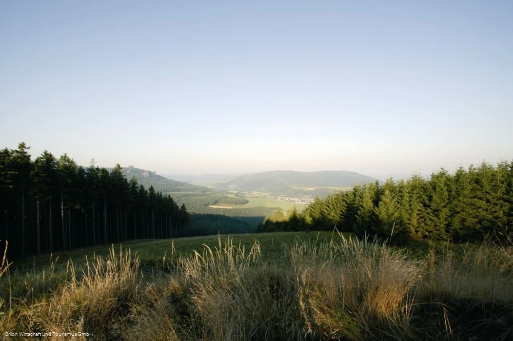Landschaft Brilon
