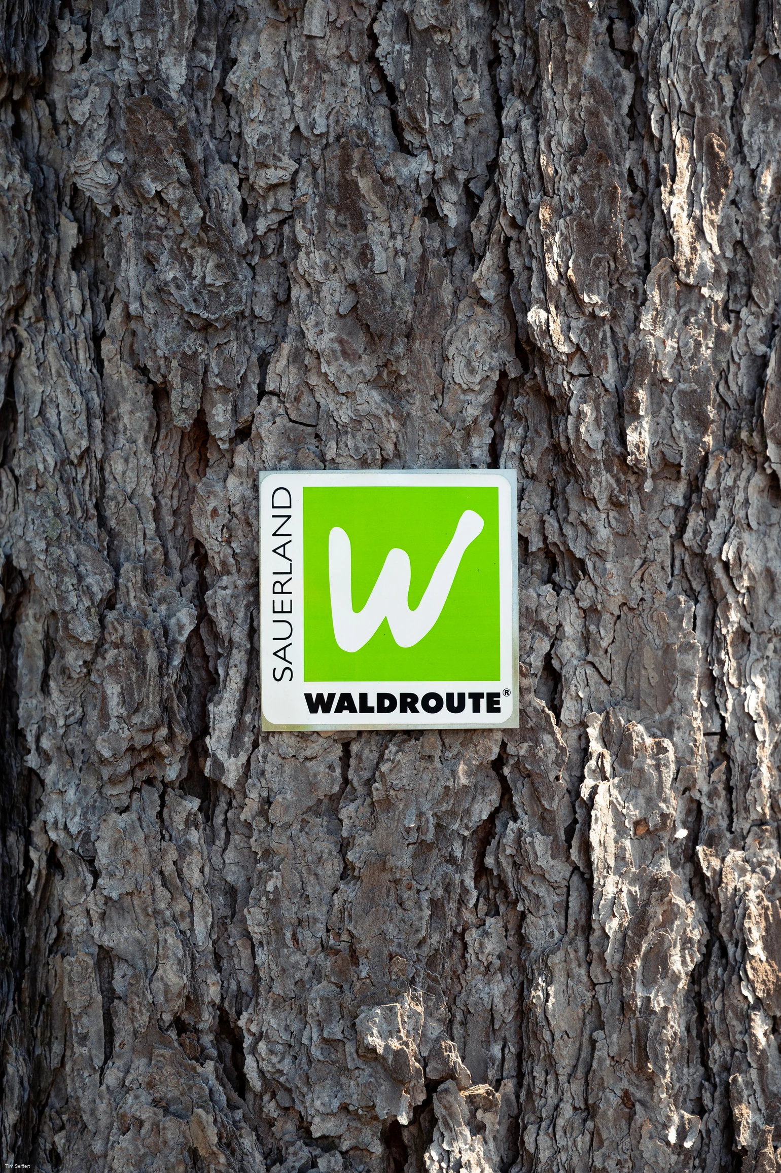 Logo SWR hochkant (c) Tim Seiffert.jpeg