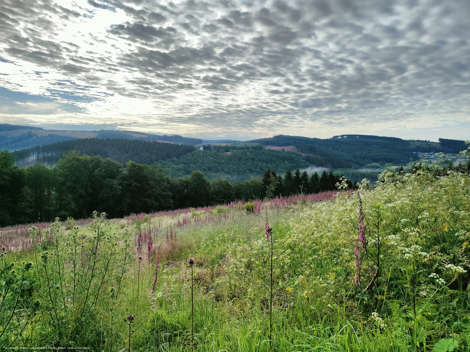 Ausblick von der Kophelle nach Kohlhagen