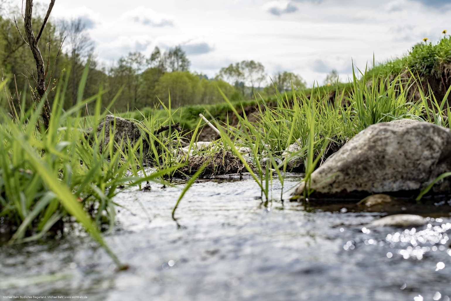 Der Wetterbach in Holzhausen Der Wetterbach in Holzhausen
