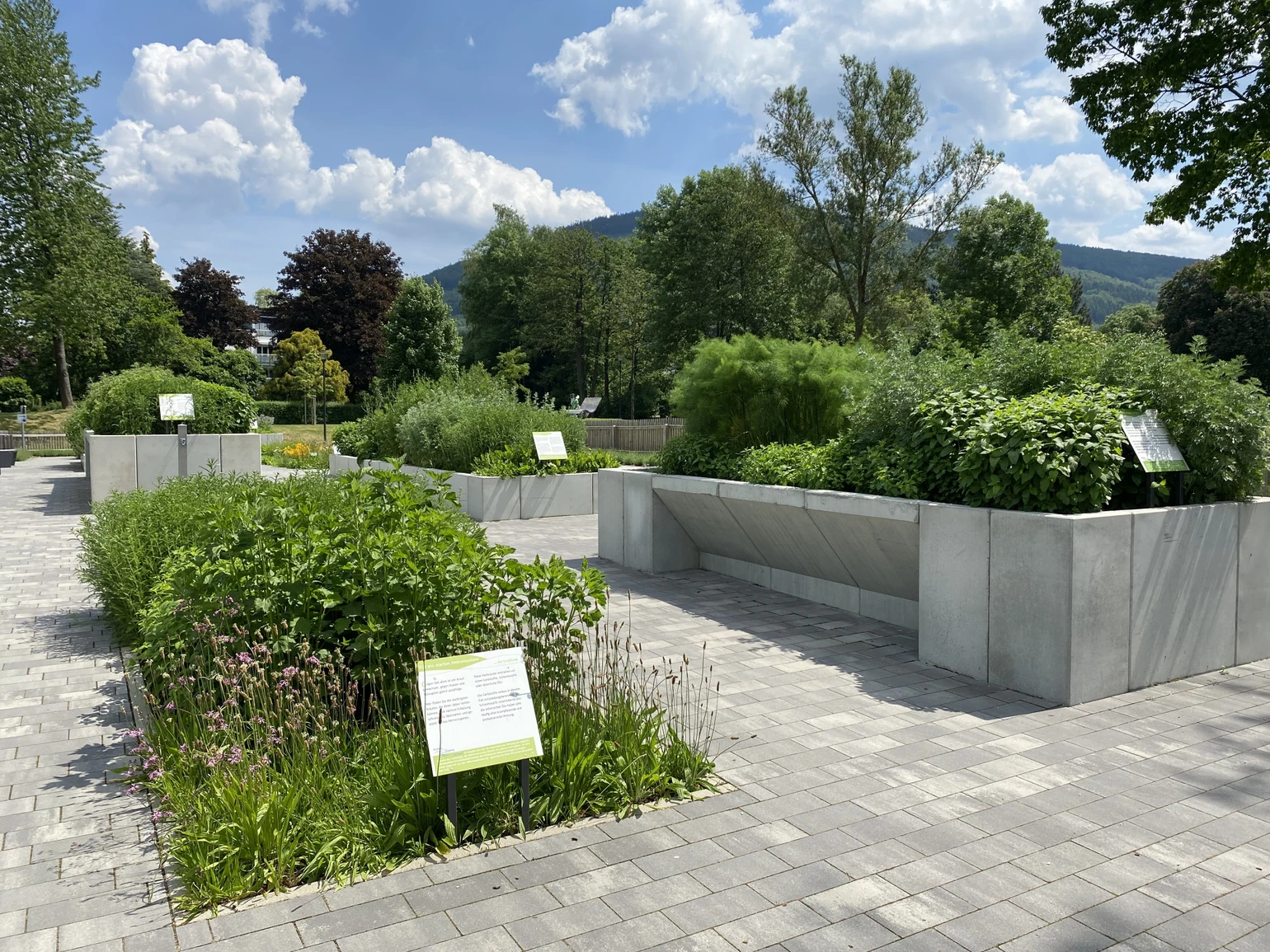 image00001_klein.jpg