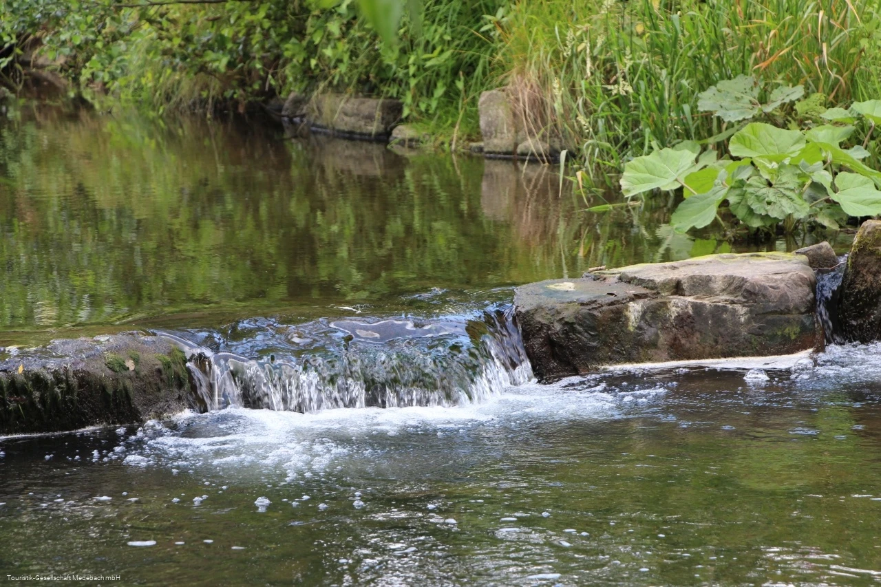 Die Orke bei Medebach-Medelon