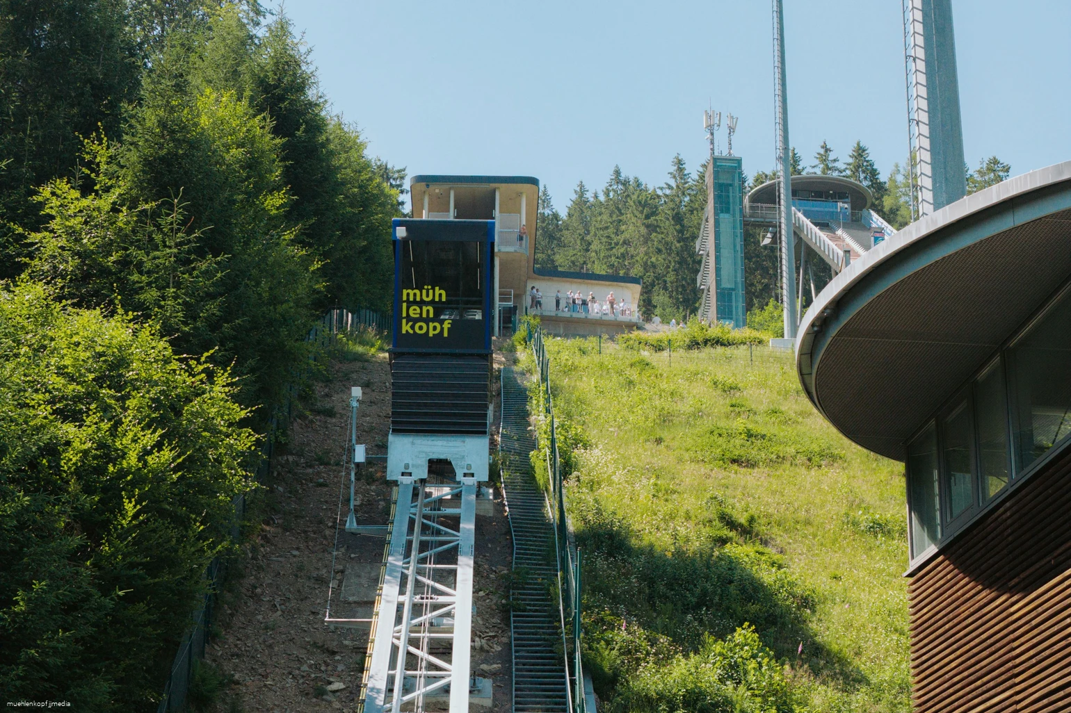 Muehlenkopfliner