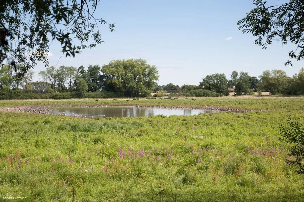 Naturschutzgebiet Woeste bei Bad Sassendorf Naturschutzgebiet Woeste bei Bad Sassendorf