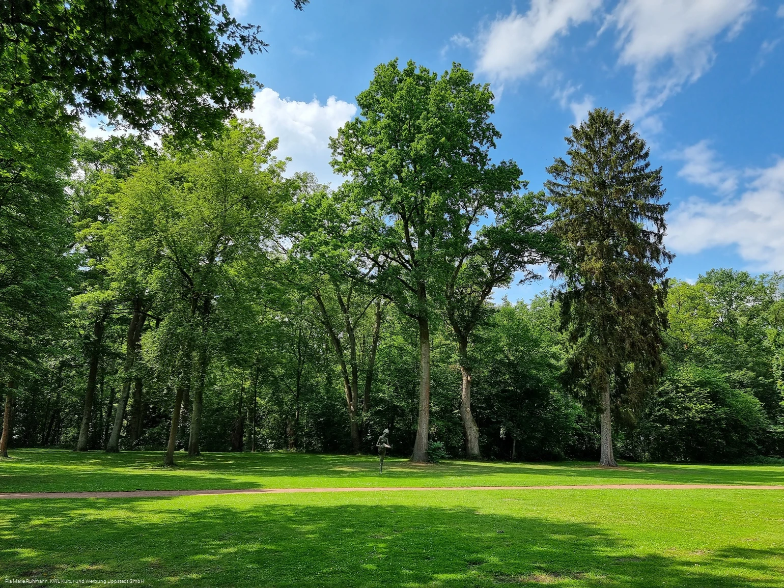 Kurpark Bad Waldliesborn