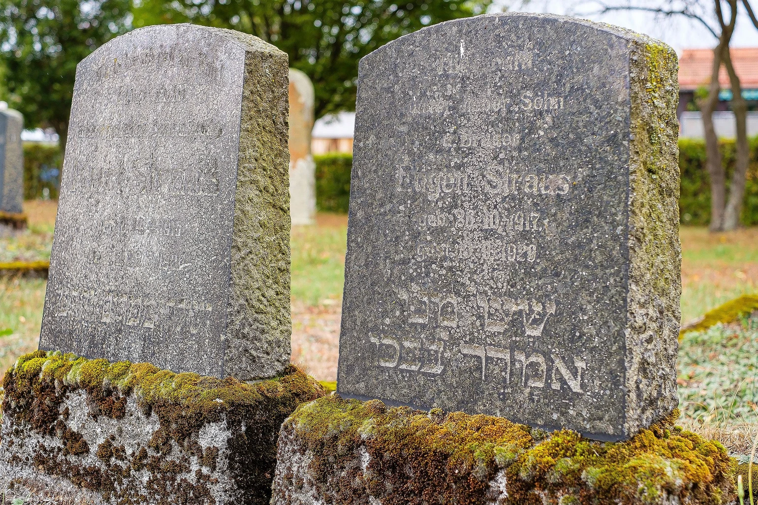 juedischer-friedhof-willingen-eimelrod -doppelgrab-straus c) skylightfotos.de.jpg
