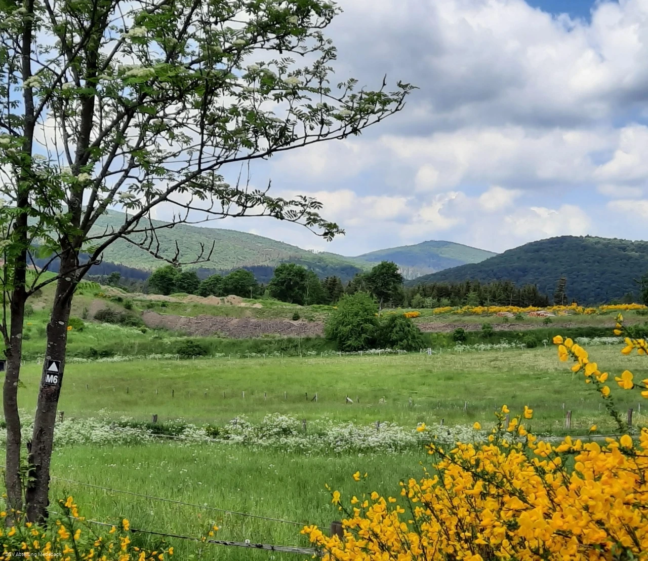 Geführte Wanderungen in Medebach