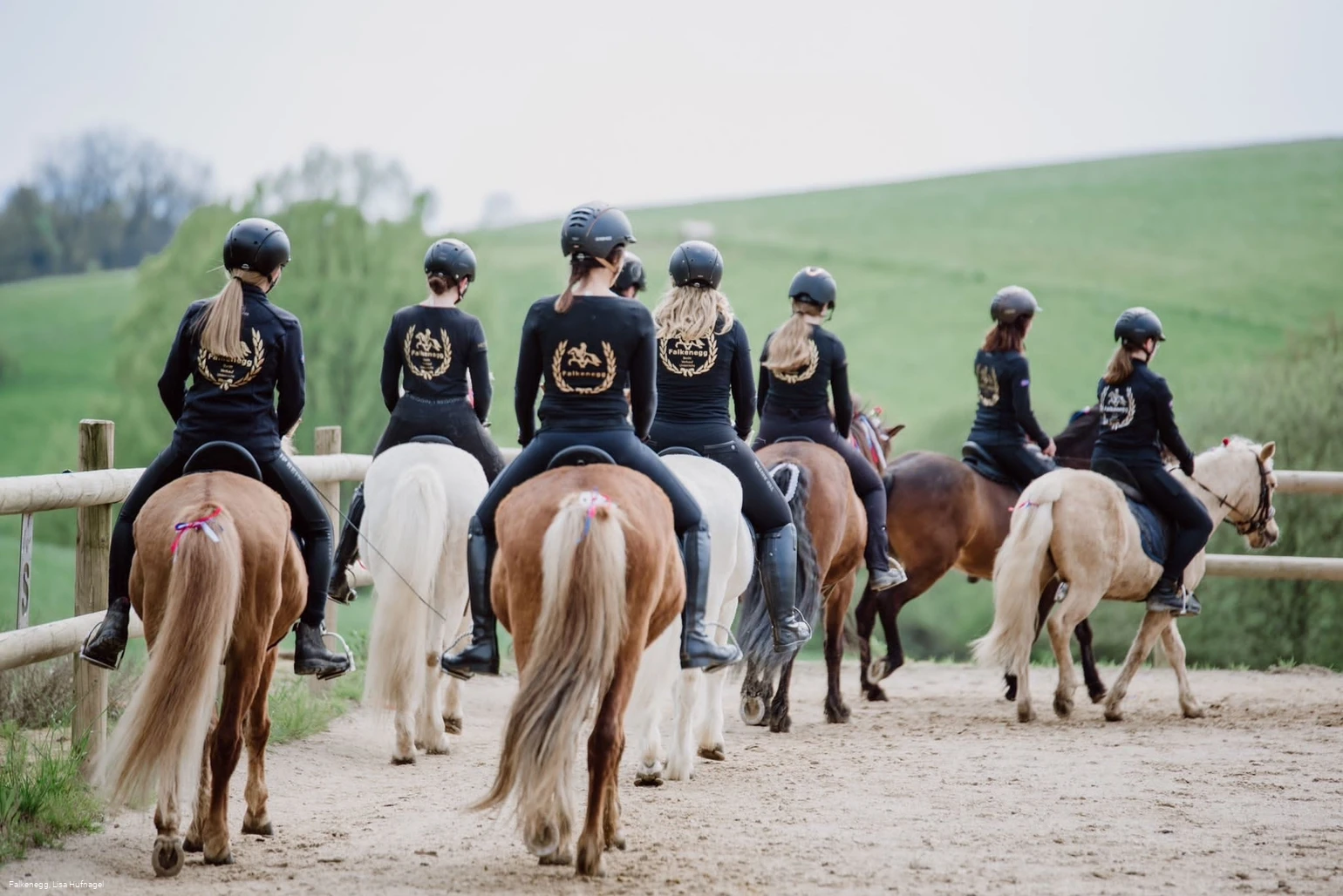 Reiten©Falkenegg.jpg Reiten©Falkenegg.jpg