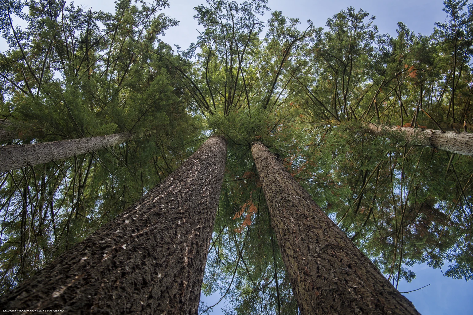 Sauerland Seelenort Himmelssäulen