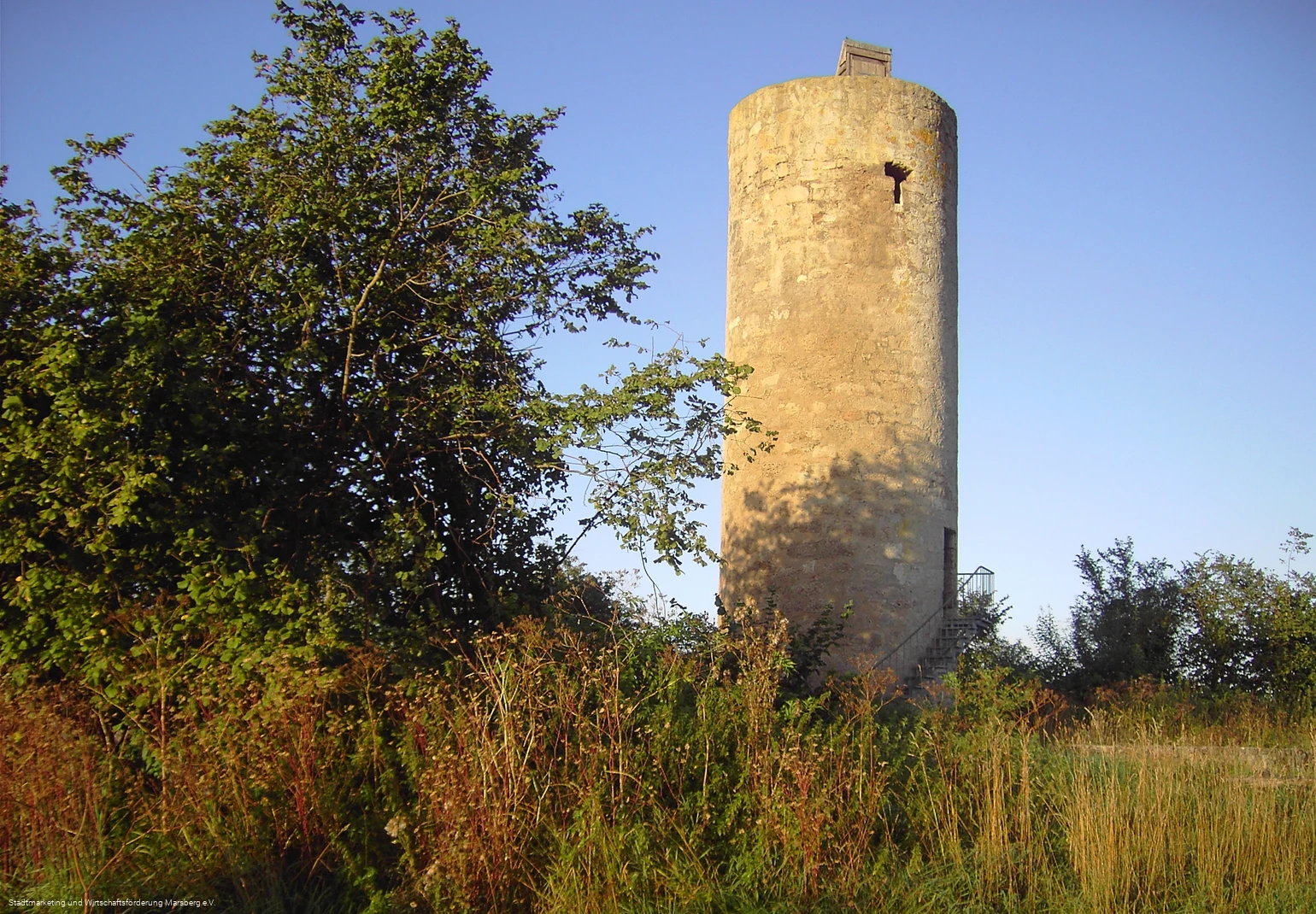 Donnersberger Warte (Mäuseturm) Donnersberger Warte (Mäuseturm)