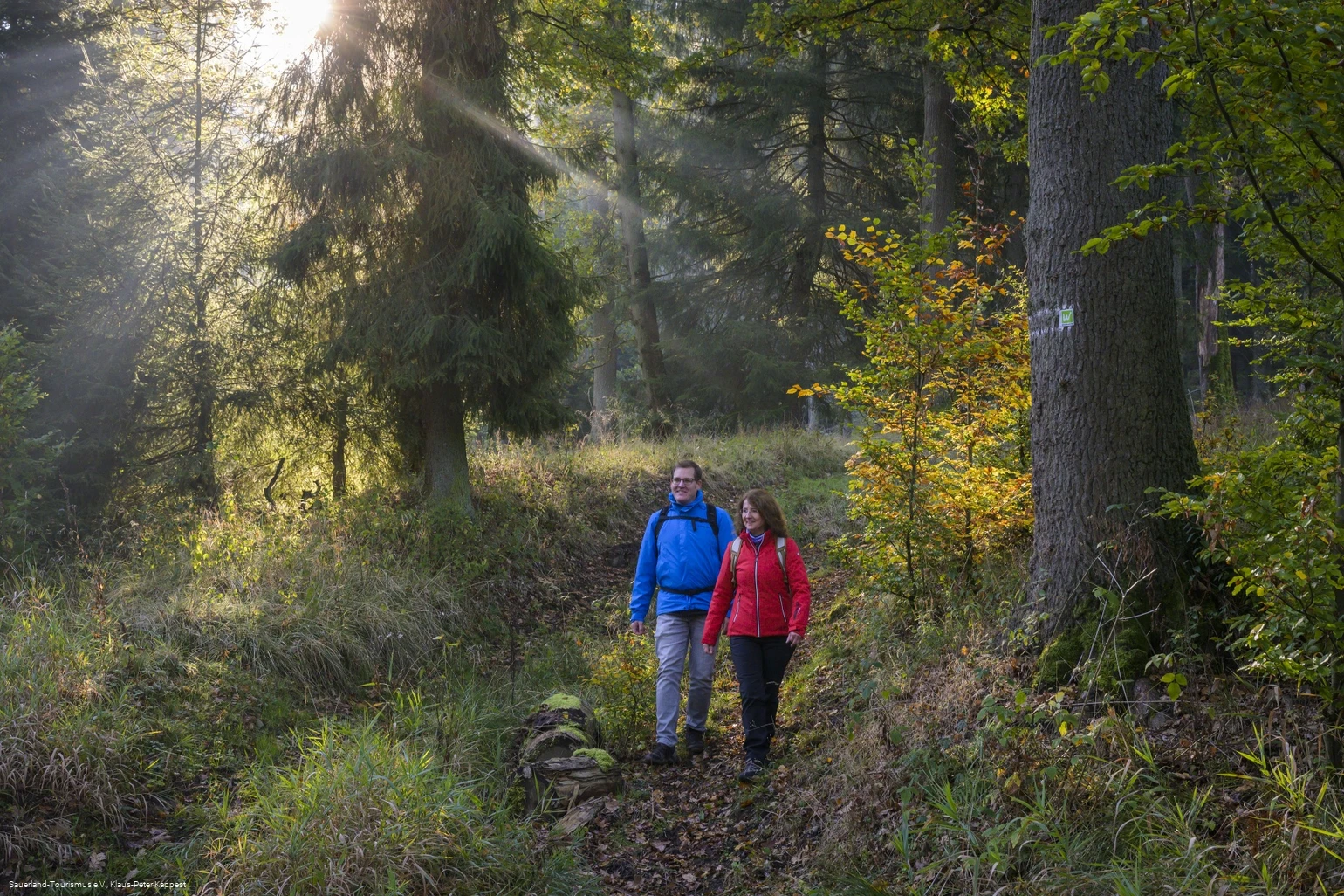 Auf der Sauerland-Waldroute am Möhnesee Auf der Sauerland-Waldroute am Möhnesee