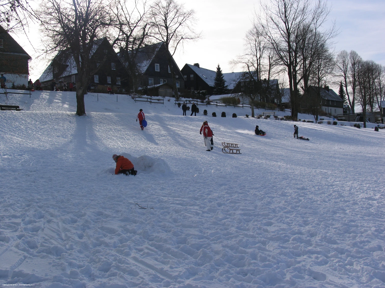 Kinder beim Rodeln auf einem schneebedeckten Hang im Kurpark.