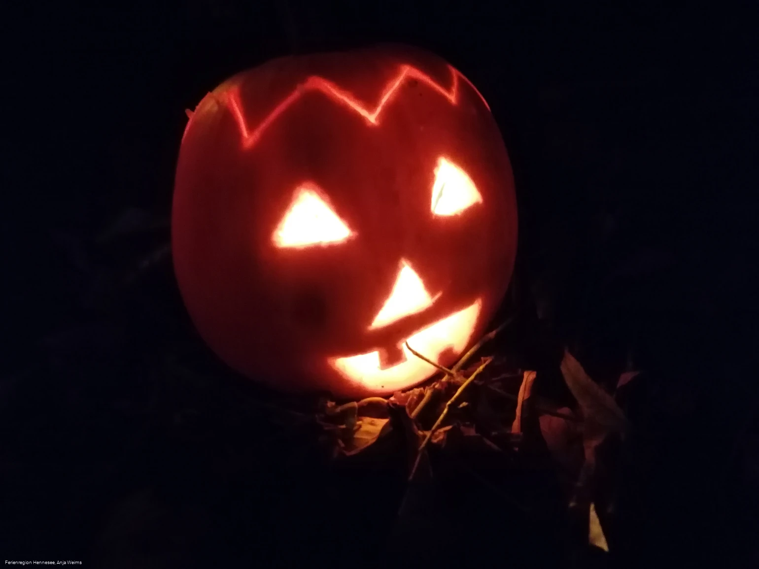 leuchtender Kürbis 