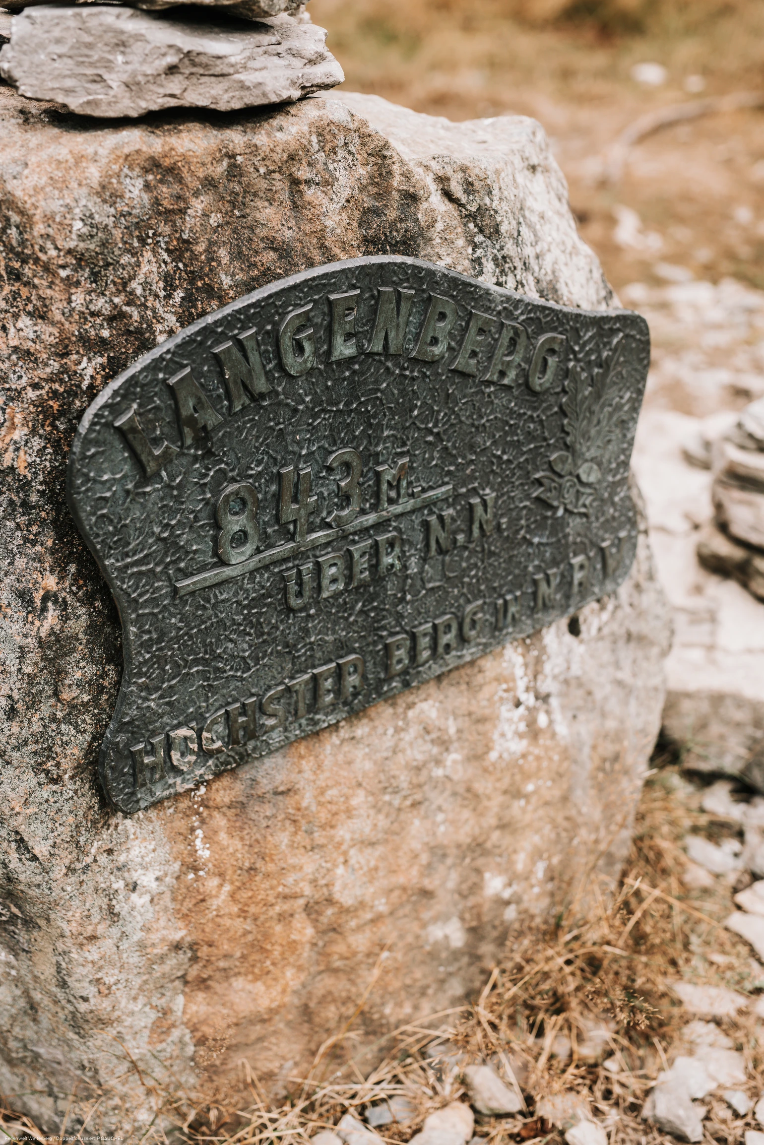 Ein Metallschild an einem großen Stein angebracht mit der Aufschrift Langenberg 843 m über N.N.
