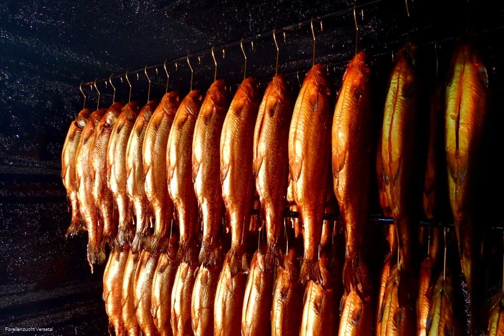 Räucherfische