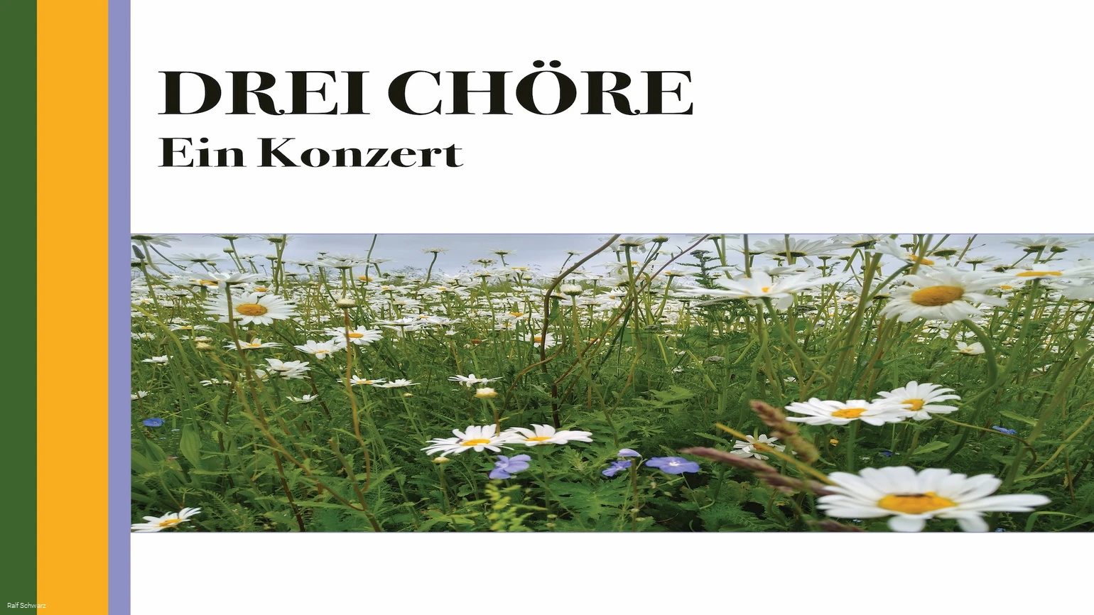 Konzert Bad Waldliesborn 2026.jpg