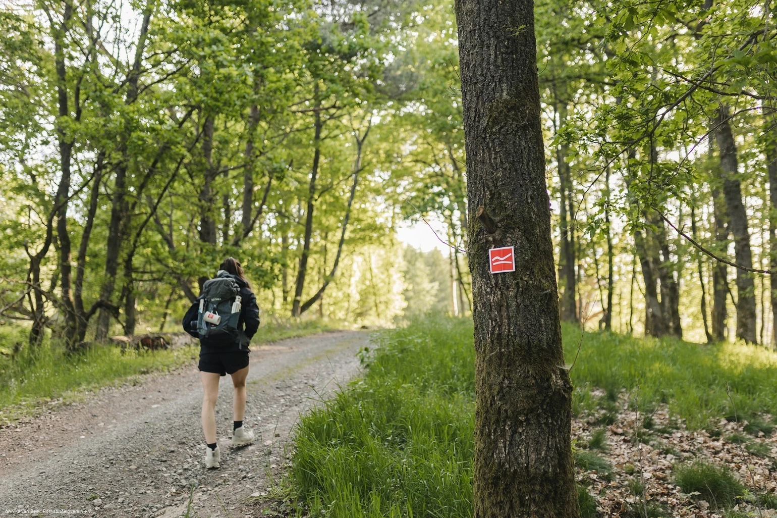 Wanderin auf einem Schotterweg auf dem Rothaarsteig