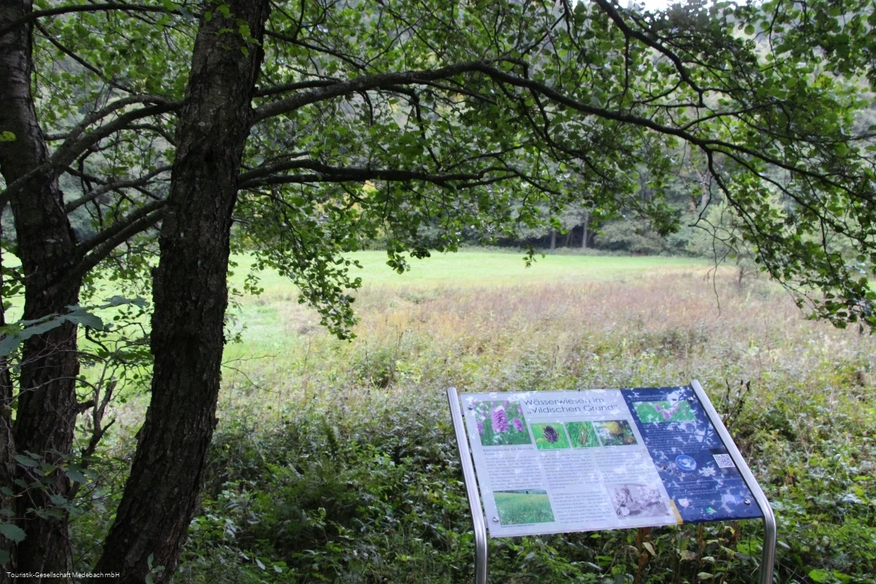 Infotafel 7 am Gewässerpfad Orke