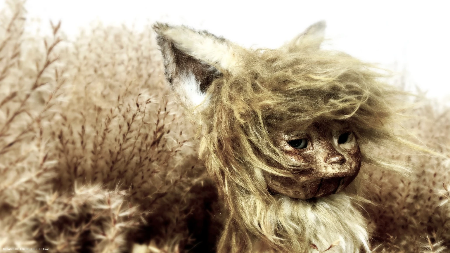 ©️TAIYO KIKAKU Co., Ltd.／TECARAT.jpg