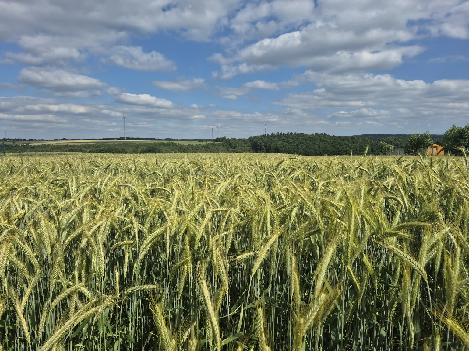 1750344746763.jpg 1750344746763.jpg