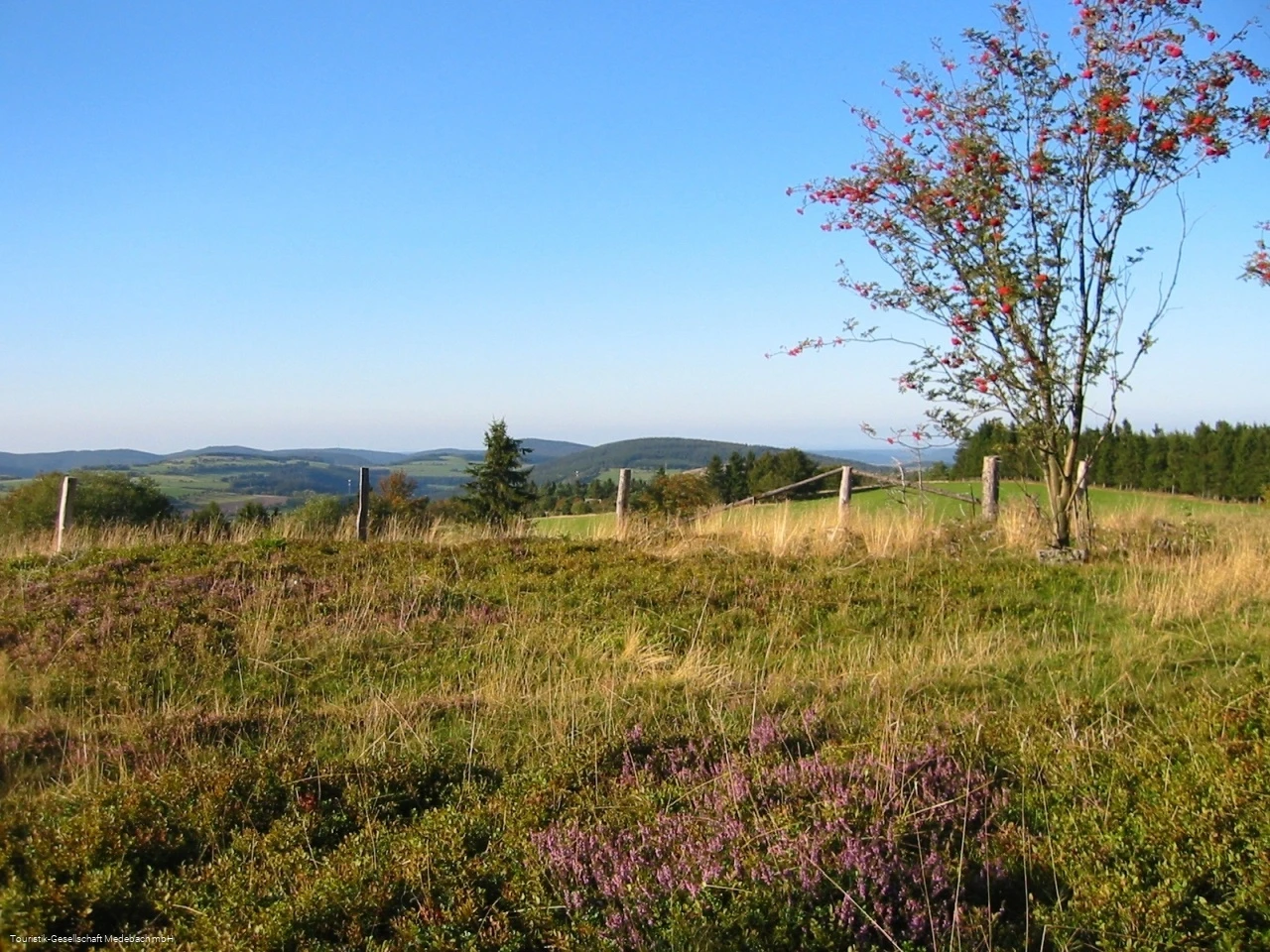 Kahler Pön