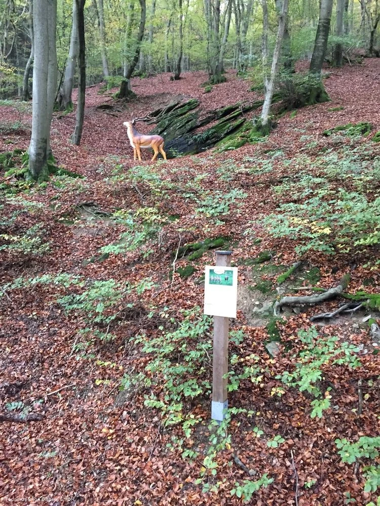 Erlebnisweg Drumecke Erlebnisweg Drumecke