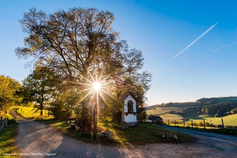 Die Lausebuche Die Lausebuche
