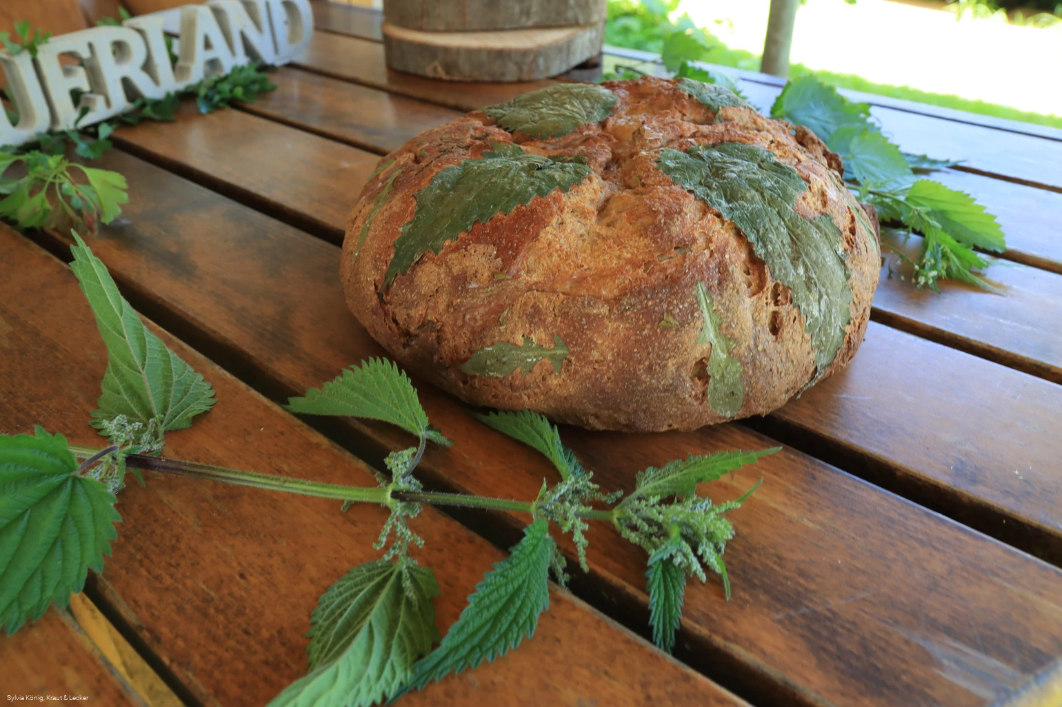 Wildkräuterspaziergang_2©Kraut & Lecker.JPG