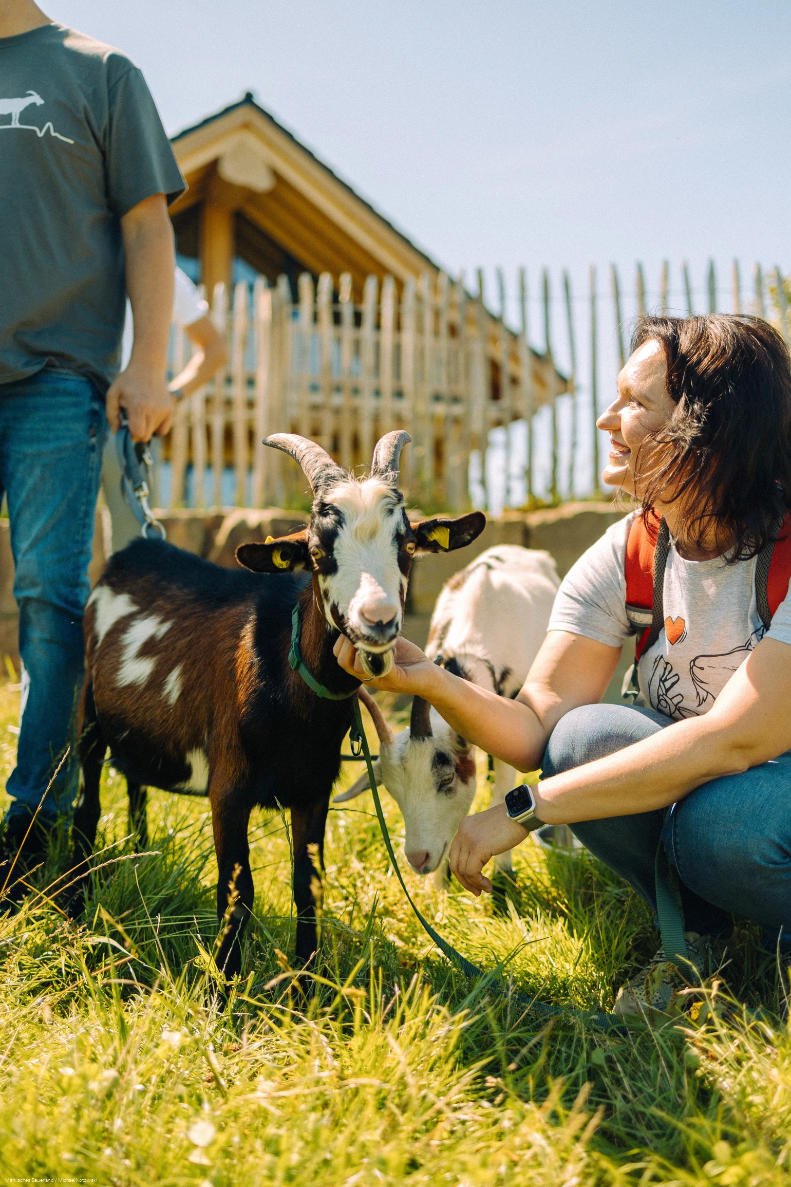 Ziege2go - Ziegenwanderungen