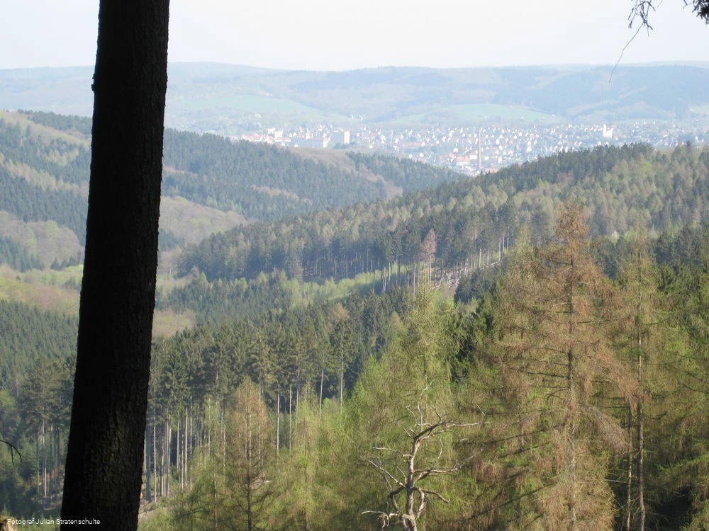 Blick auf Arnsberg