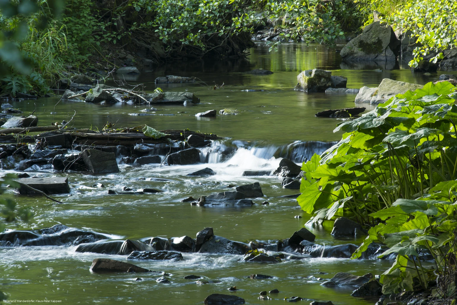 Die Orke bei Medelon