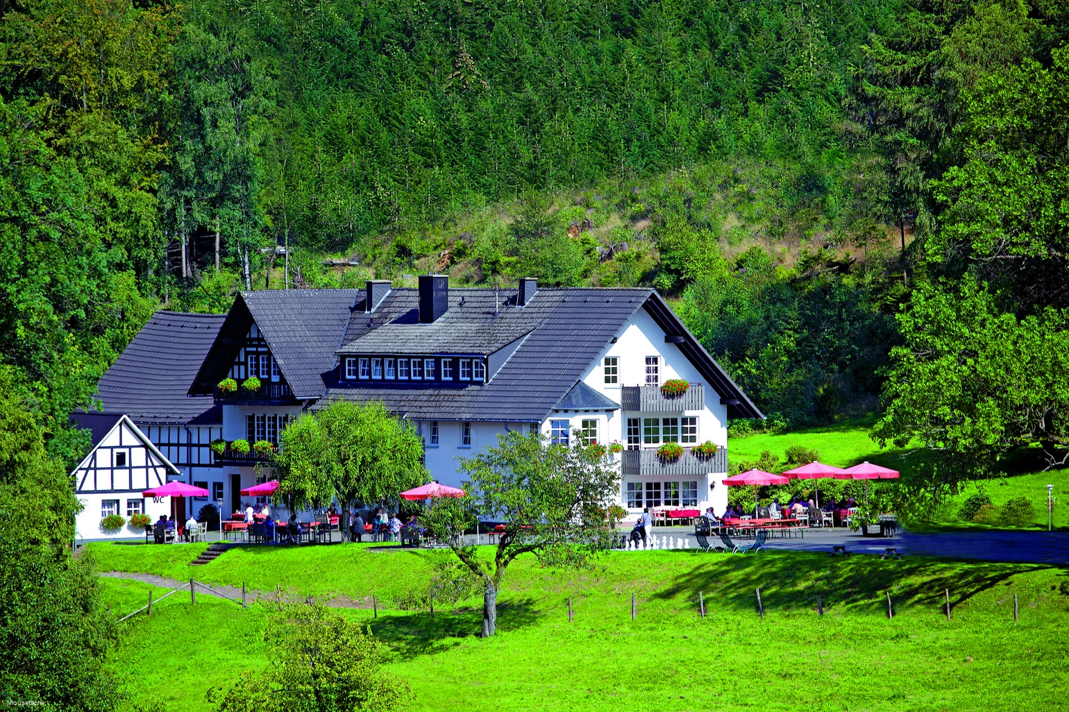 Landgasthof GutAhe.jpg Landgasthof GutAhe.jpg