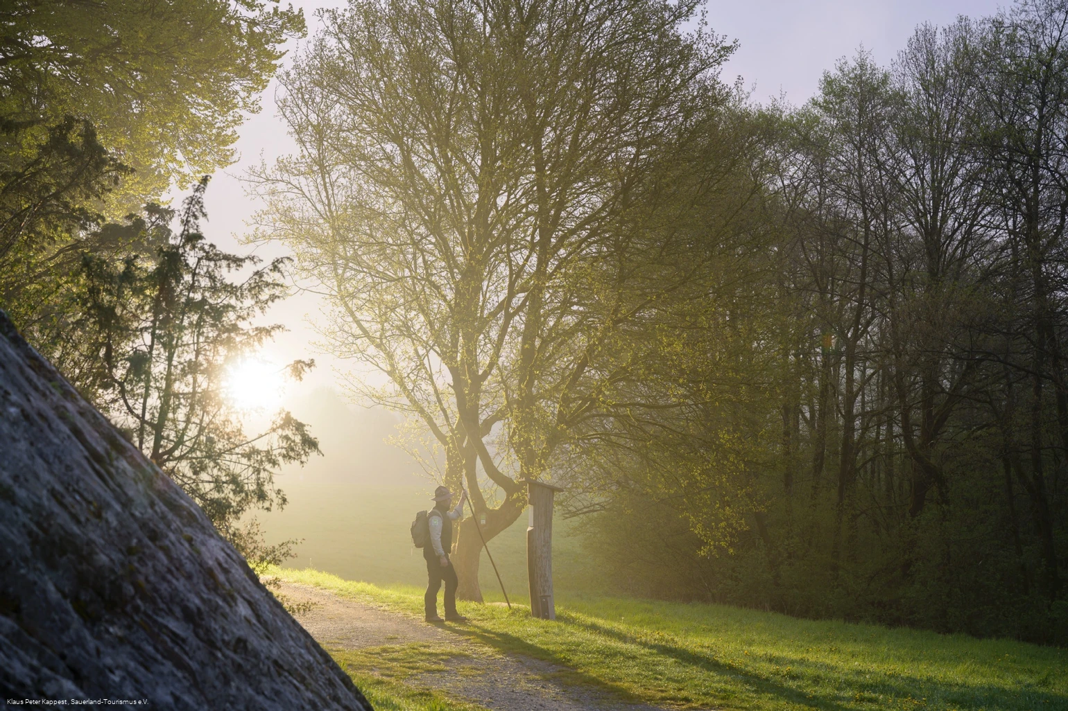 Ranger im Morgennebel 