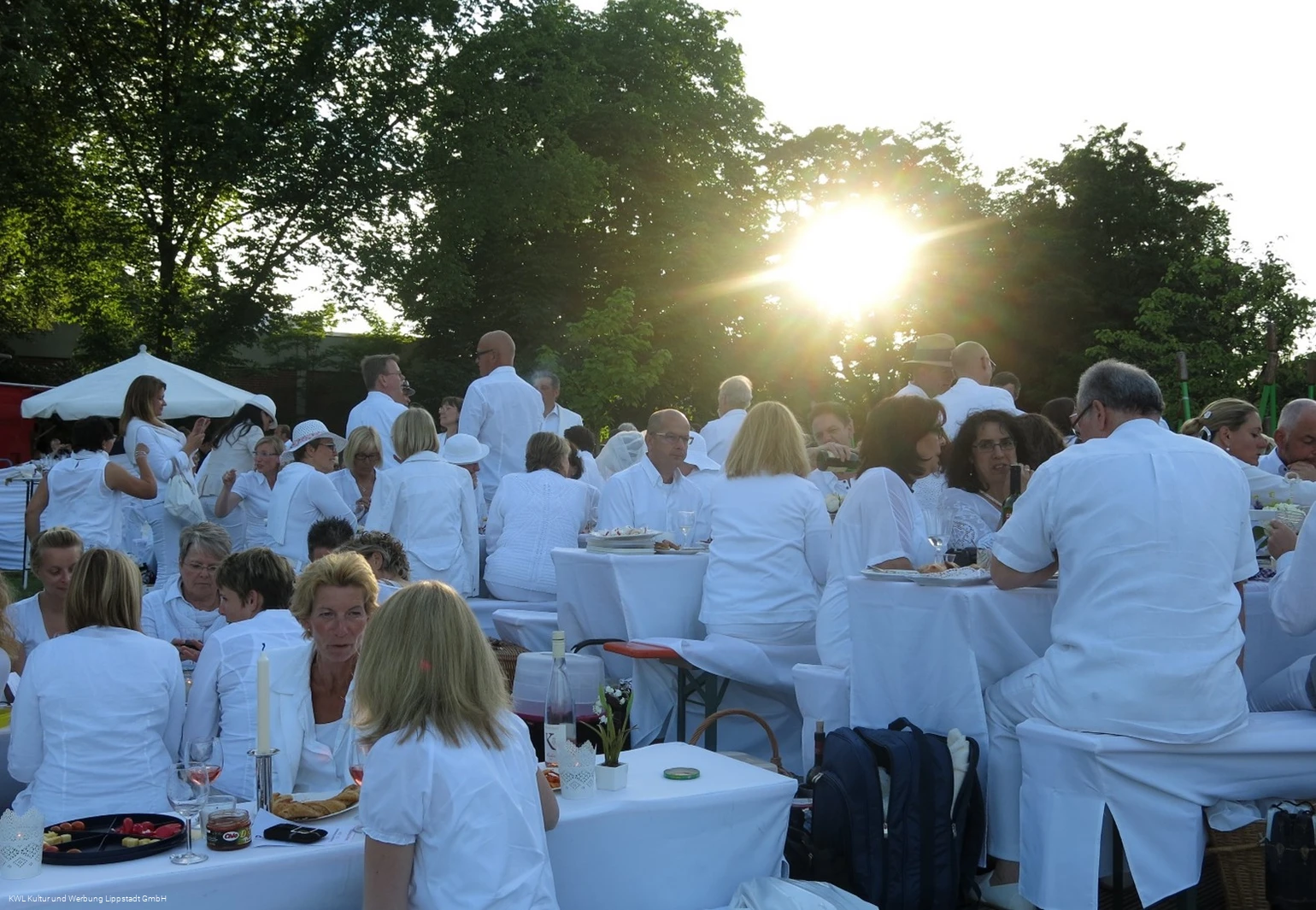 Dine en blanc.jpg