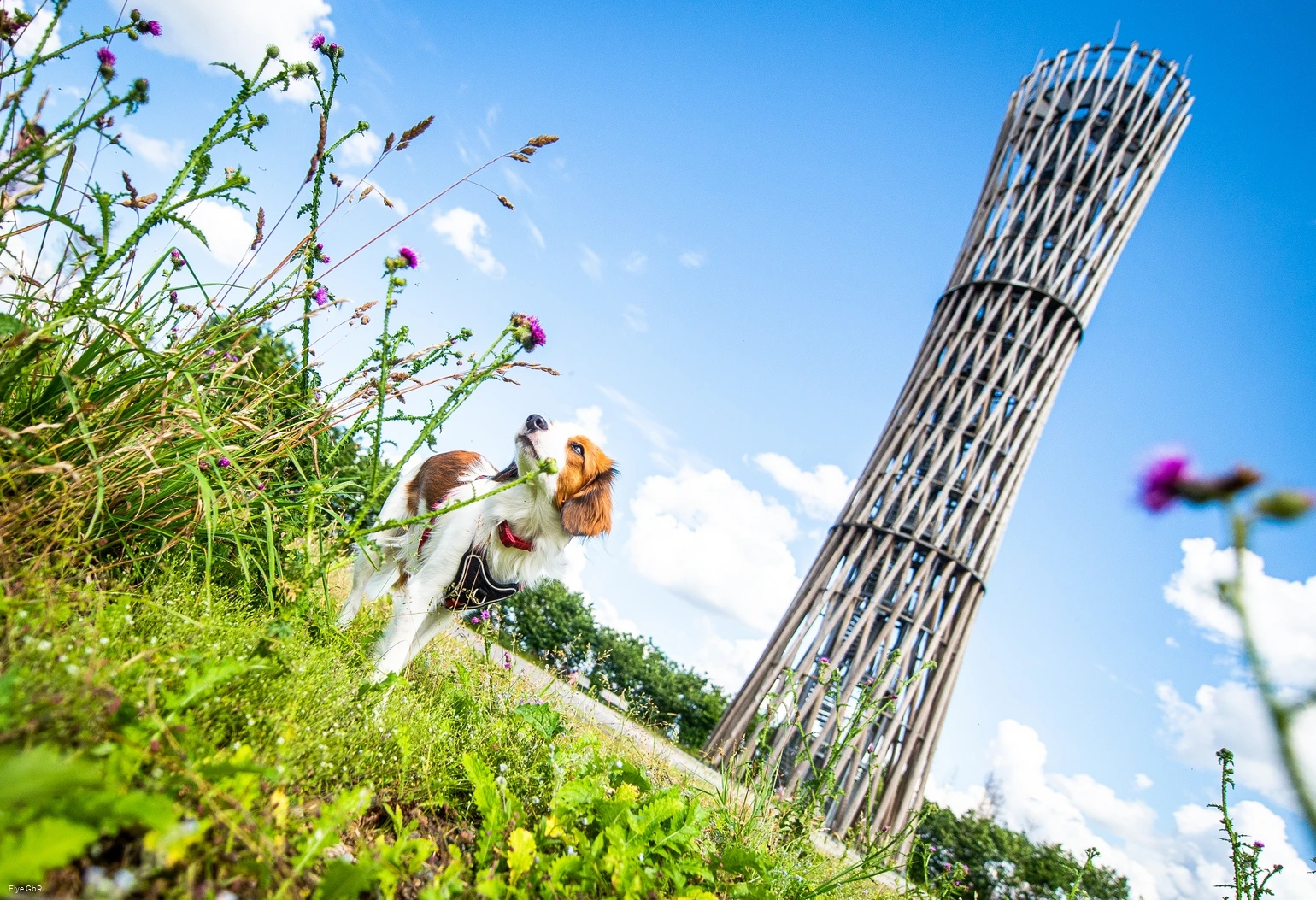 Lörmecketurm Lörmecketurm