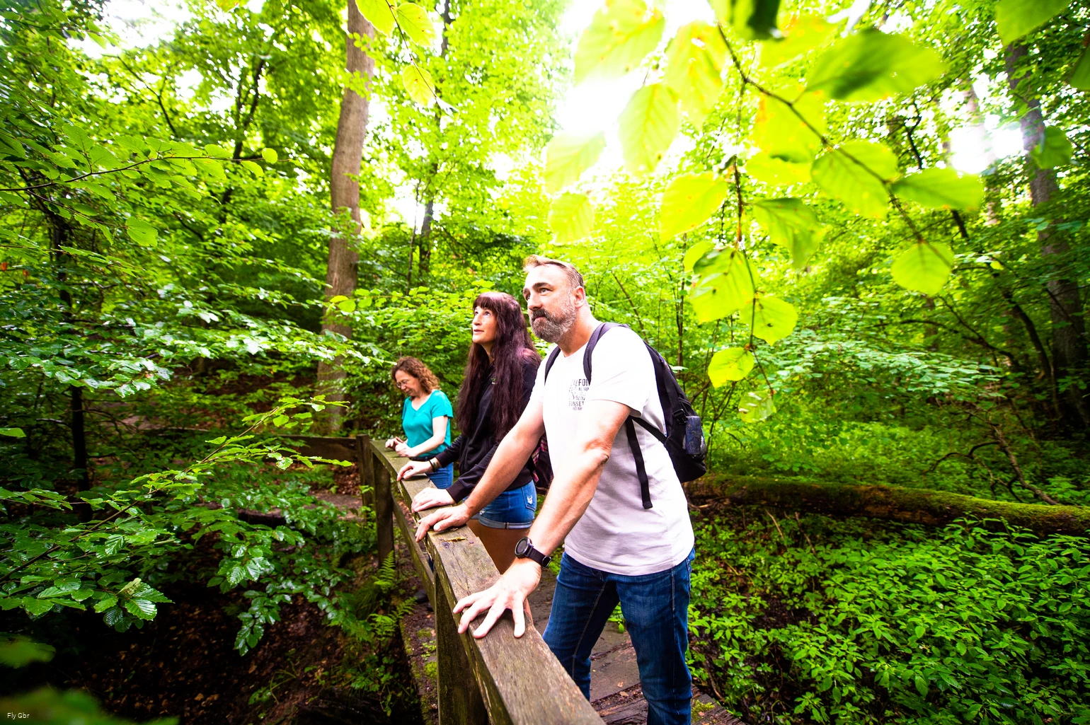 xx210725dsWandernWaldHirschberg-34.jpg