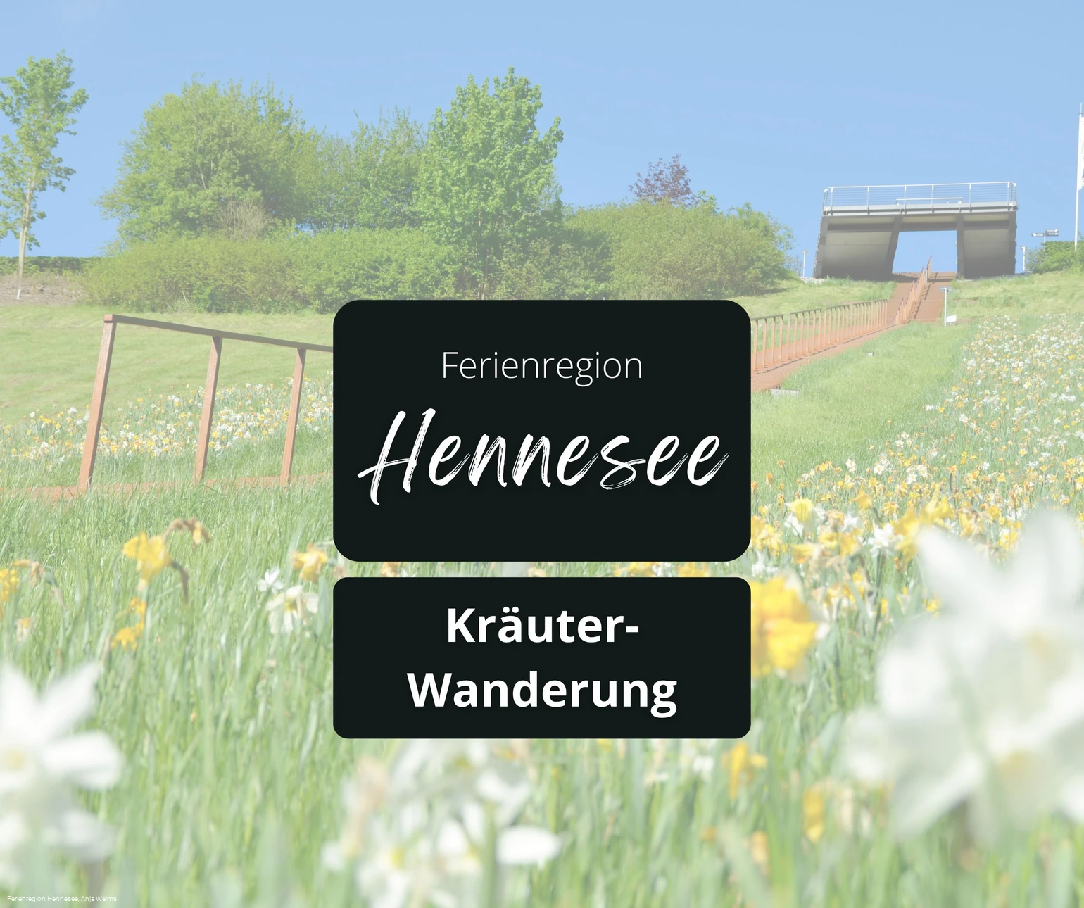 Kräuterwanderung 